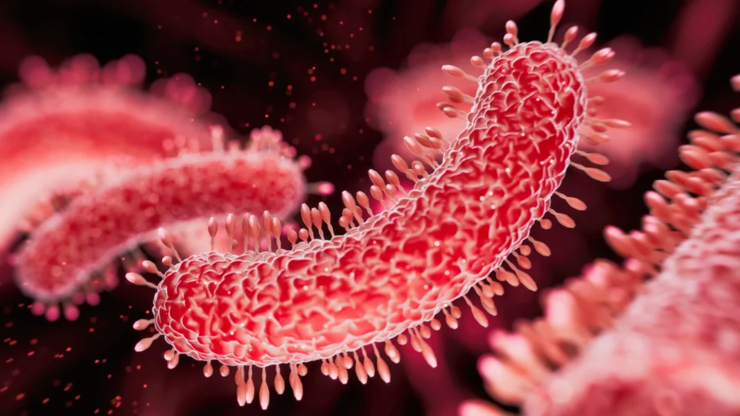 Sexually Transmitted Diarrhea Is Exploding in The US. And It's Growing Resistant to Medicine