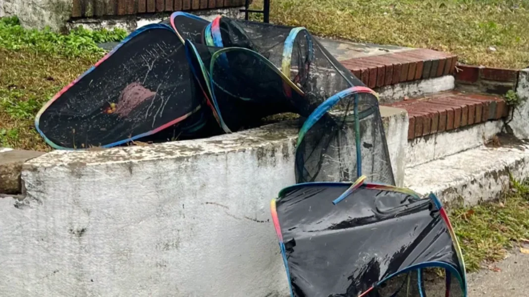 Officers Get A Call About Mesh Tunnel In Yard And Find 4 'Soaking Wet' Babies Inside